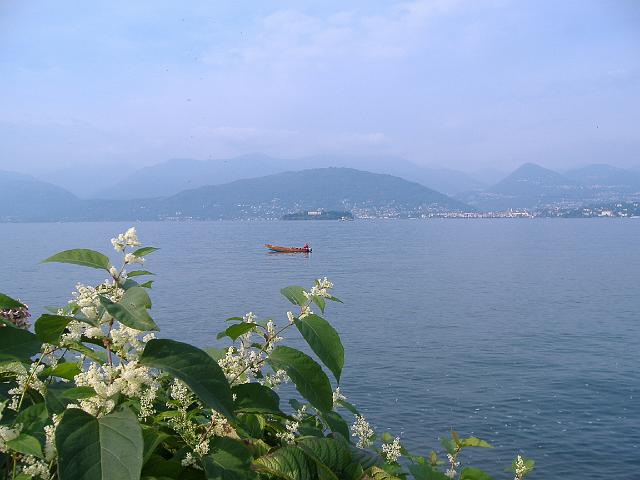 2008 - 098.JPG - Lago Maggiore bei Stresa